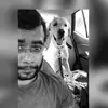 Khabar_Himachal_Se - @rrenee_couch - TikTok