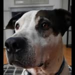 Rene Creech Johnson - @red96gt33 - Instagram