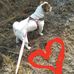 Renee Creech - Facebook