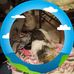 Renee Crider - Facebook