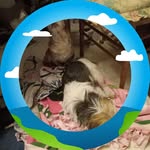 Renee Crider - @crider2528 - Instagram