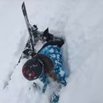 Reneecrossman - @reneecrossman7873 - Instagram