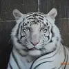 Renee Daniel - @renee.daniel6 - TikTok