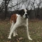 Renee Danielson - Facebook