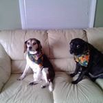 Renee Darling - @stardar52 - Instagram