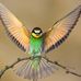 Renee Dees - Facebook
