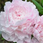 Rene Dekker - @rene.dekker.52 - Instagram