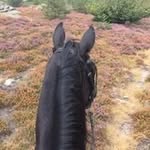 Renée Dekker - @dekker6915 - Instagram