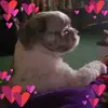 raneedevoe - @raneedevoe - TikTok