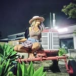 Renee De Walt - @renee.dewalt - Instagram