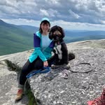 Renee Drolet Dicenso - @reneedicenso - Instagram
