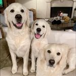 Renee Dillard Earl - @theearls - Instagram