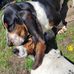 Renee Drake - Facebook