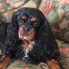 Renee Drake - @krhd5817 - TikTok