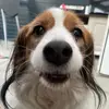 Renée - @renee_driessen - TikTok