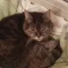 Renee Dufour - @renee.dufour - TikTok