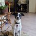 Renee Nardecchia Ebert - Facebook