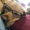 Renee Ellison - @.reneeellison - TikTok