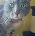 Renee Ellison - Facebook