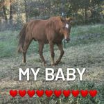Caralyn renee epperson - @caralynreneeepperson - Instagram