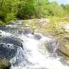 Renee Erwin - @wps_rn - TikTok