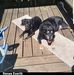 Renee Everitt - Facebook
