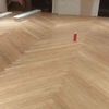 Rene Falco - @rene.falco - TikTok
