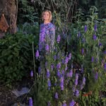 Renee Sparks Defalco - @reneedefalco - Instagram