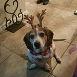 Renee Farrell - @farrell3249 - Instagram