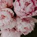 Eden Renee Feaster - Facebook