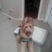 Renee Feaster - Facebook
