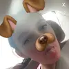 Renee Fee - @i_love_cat_16 - TikTok