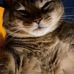 Raine Flickinger - Facebook