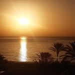René Fohl - @fohlrene - Instagram