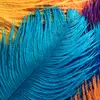 reneeforeman2 - @reneeforeman2 - TikTok