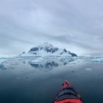 Renee Forrest - @there_is__beauty_in_the_world - Instagram
