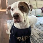 Renee Hicks Frey - @sup_its_neyney - Instagram