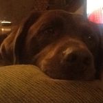 Renee Funk - @rfunk42577 - Instagram