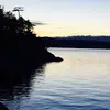 reneegao991 - @reneegao991 - TikTok