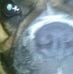 Renee Heslep Geddes - Facebook