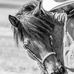 Renee T. Geddes - Facebook