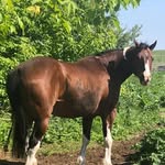 Renee Glass - @rglassupnorth - Instagram