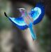 Renee Gorman - Facebook
