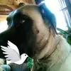 Renee Grady519 - @reneegrady5191 - TikTok