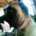 Renee Grady - Facebook