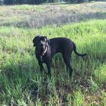 Renee Morgan Graybill - @fosterfun9 - Instagram