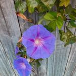 Renee Grubber - @renee.grubber - Instagram