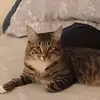 Sleepness in RI - @renee.guidice - TikTok