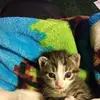 Renee Gutierrez - @reneegutierrez7 - TikTok