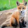 Renee Gutierrez M - @renee.gutierrez.m - TikTok